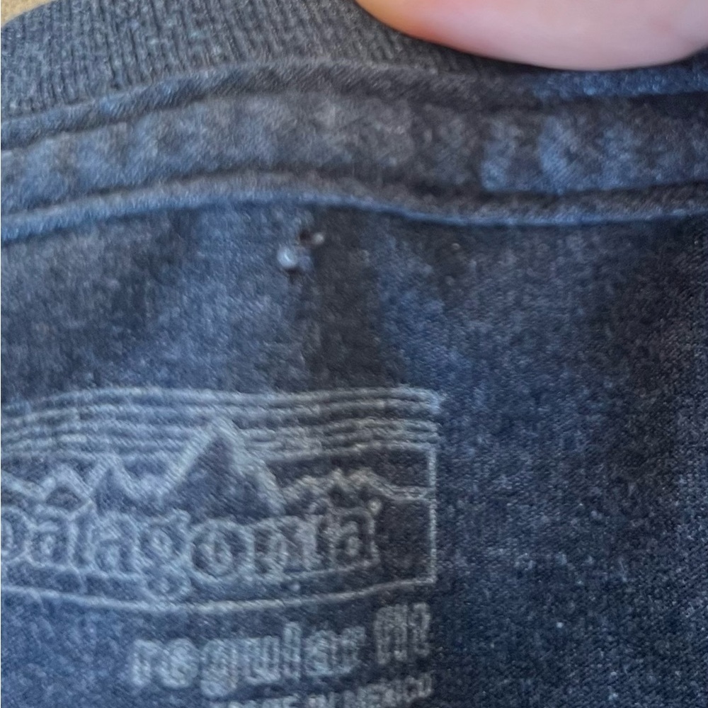 Patagonia Fitz Roy Bison Long Sleeve Shirt Men's L Blue Crew Neck Jackson Hole - Picture 6 of 9